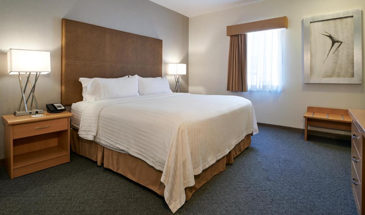 Holiday Inn & Suites Chihuahua Expo By Ihg Extérieur photo